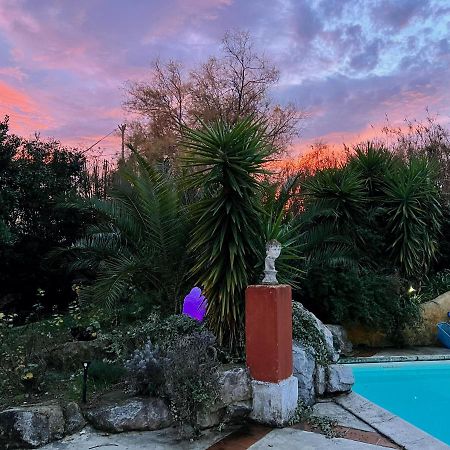 Le Clos De L'Isle Αρλ Εξωτερικό φωτογραφία
