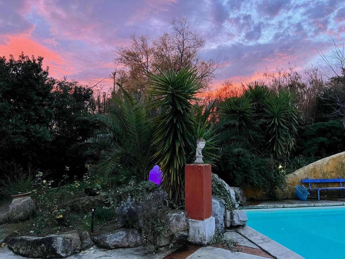 Le Clos De L'Isle Αρλ Εξωτερικό φωτογραφία